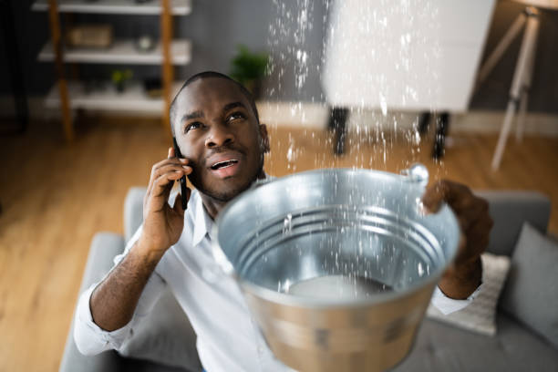 Best Water damage restoration mold remediation  in Arthur, IL