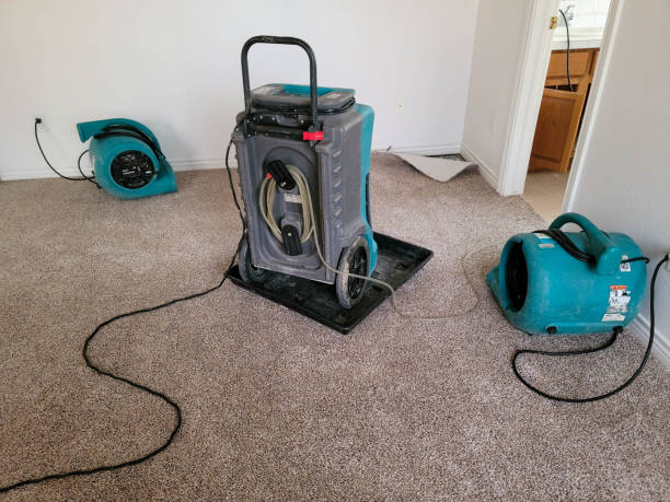 Best Fire Damage Restoration  in Arthur, IL