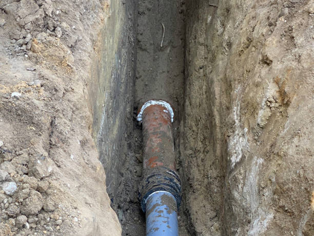 Best Flood damage cleanup  in Arthur, IL