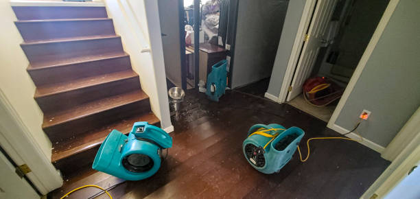 Best Professional water damage repair  in Arthur, IL