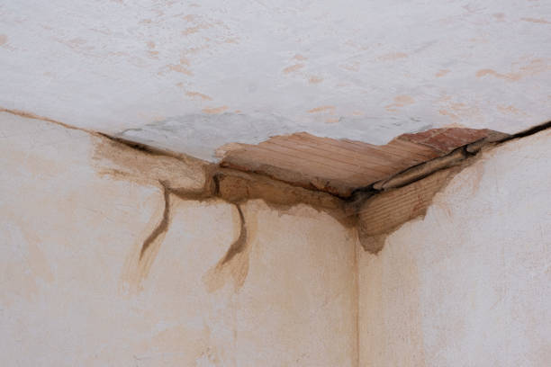 Best 24-hour water damage restoration  in Arthur, IL