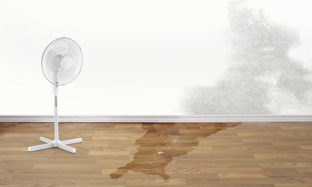 Best Emergency water damage restoration  in Arthur, IL