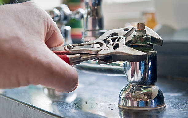 Best Flooded house restoration  in Arthur, IL
