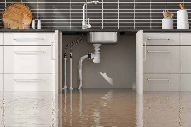 Best Water damage restoration services  in Arthur, IL