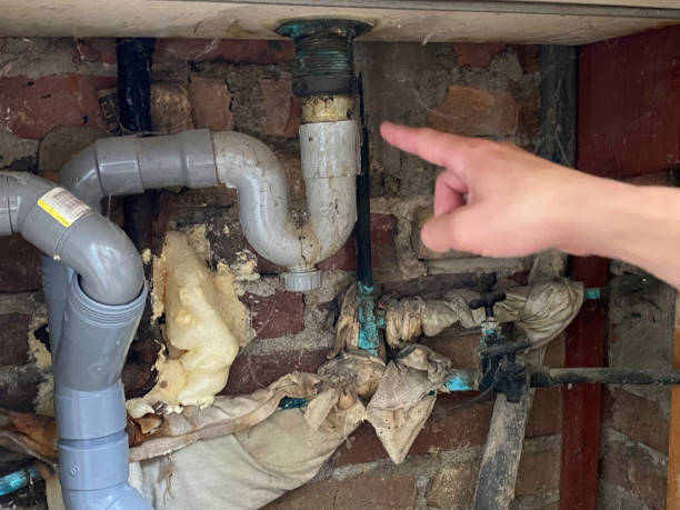 Best Flood damage cleanup  in Arthur, IL
