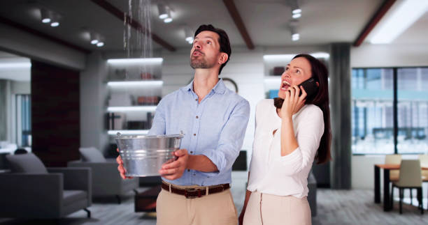 Best Water damage restoration near me  in Arthur, IL
