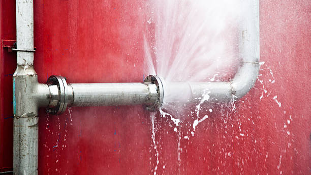Best Flooded house restoration  in Arthur, IL